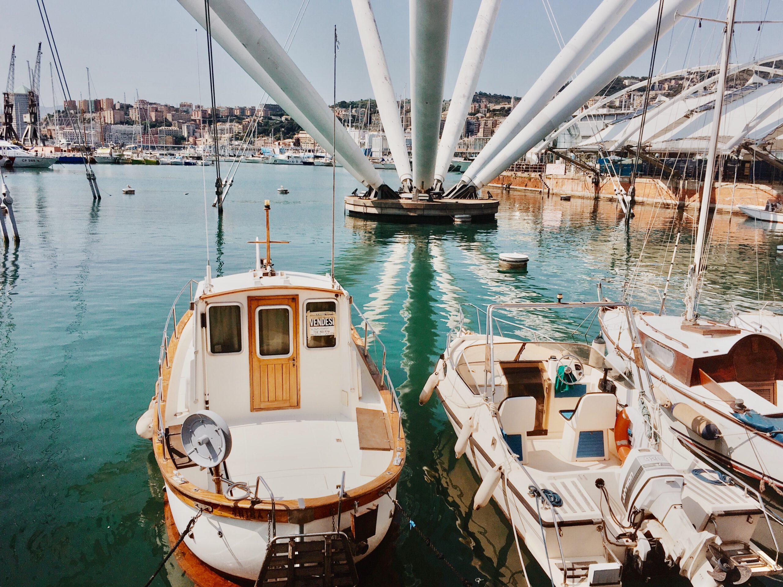 The Mediterranean